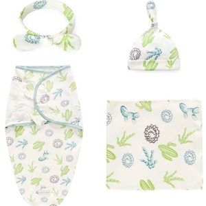 New 4Pc baby cactus bundle